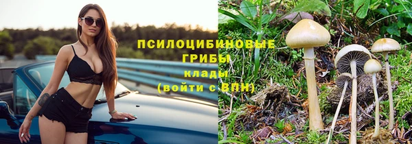 ешки Заволжск