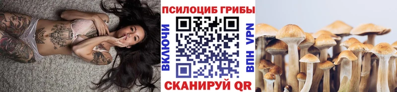 Купить  Камышин  Галлюциногенные грибы Cubensis 